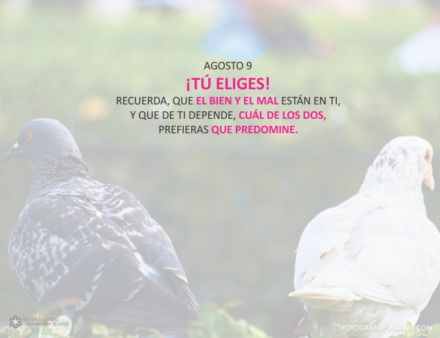 ¡Tú eliges!